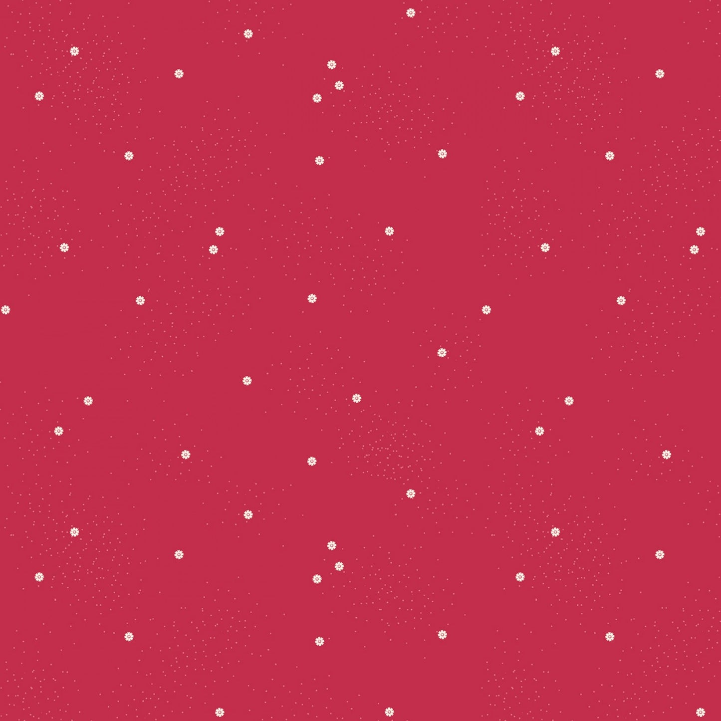 Dainty Daisy - Jazzberry